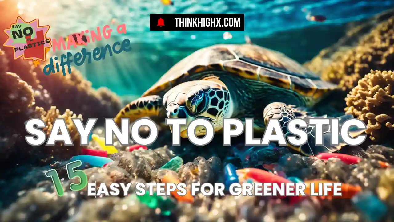 Say No to Plastic 15 Easy Steps for Greener Life