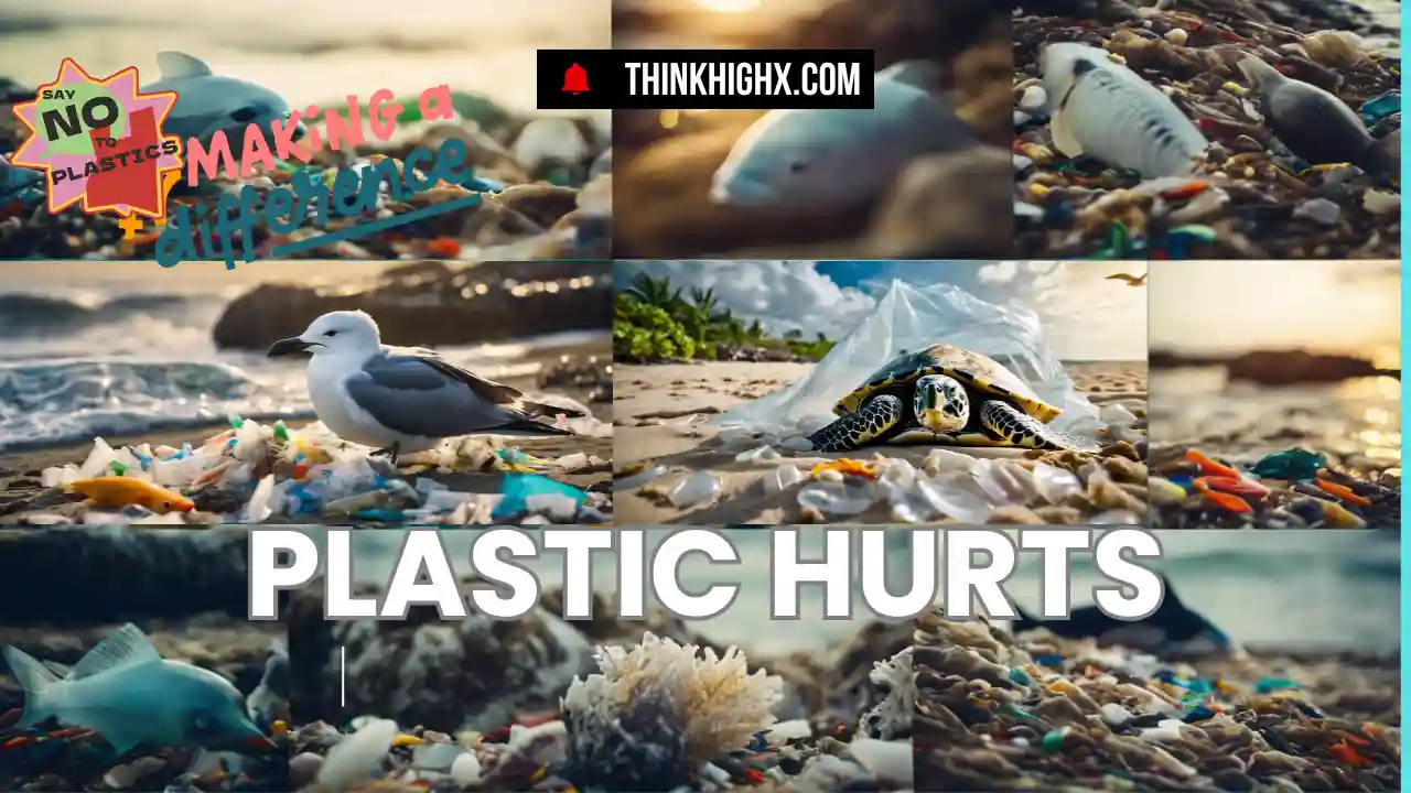 animals affected by plastic pollution